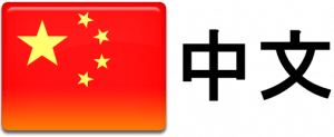 中文