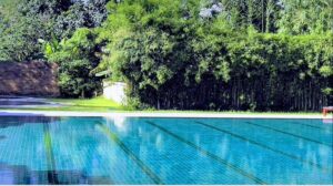 Pool from South